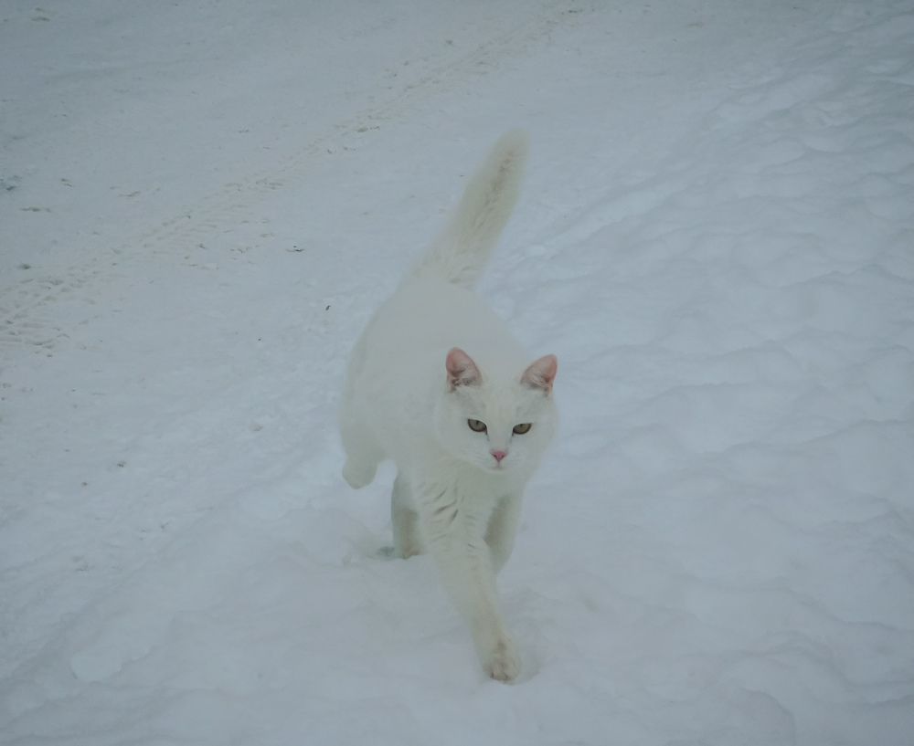 Photograph by Юлия Закопайло