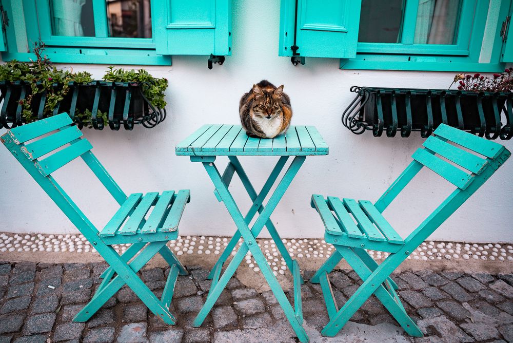 Photograph by Hasan Dimdik