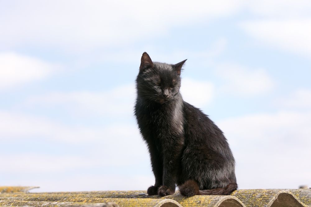 Photograph by Сергей Брызгалов