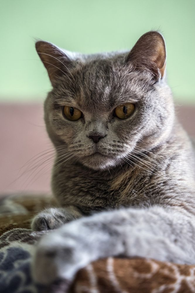 Photograph by Сергей Брызгалов