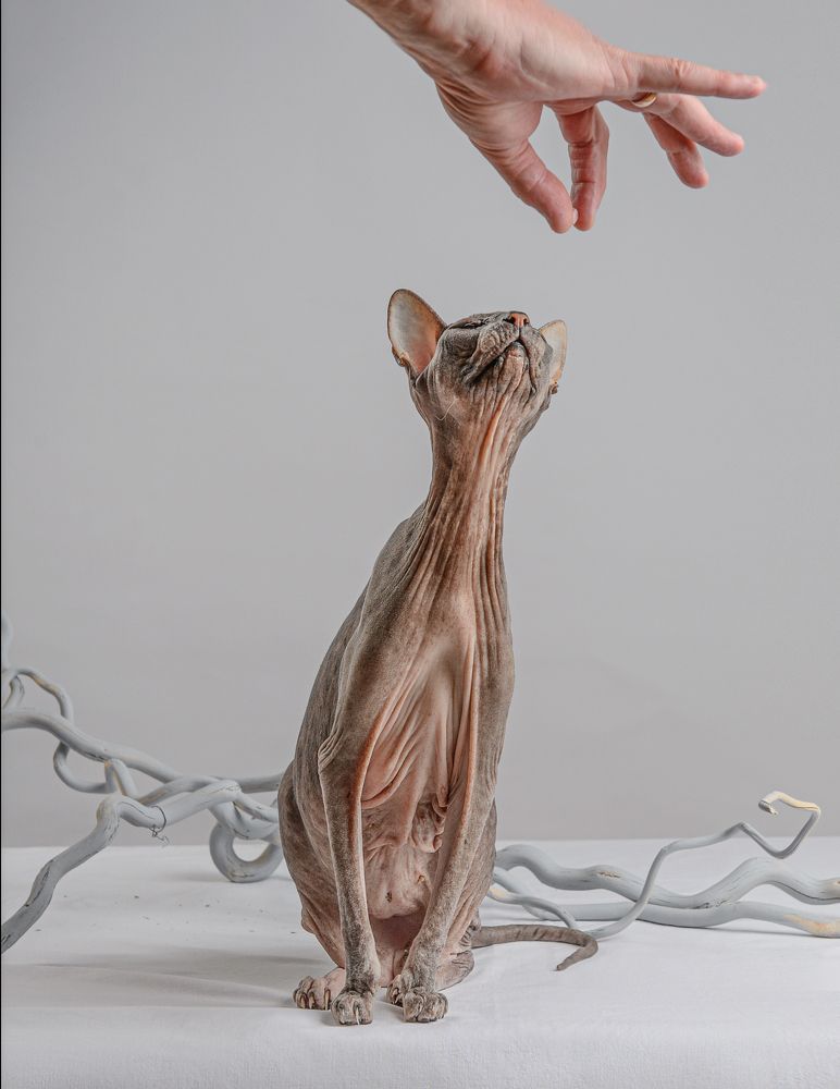 Фотография автора Ольга Афанасенко