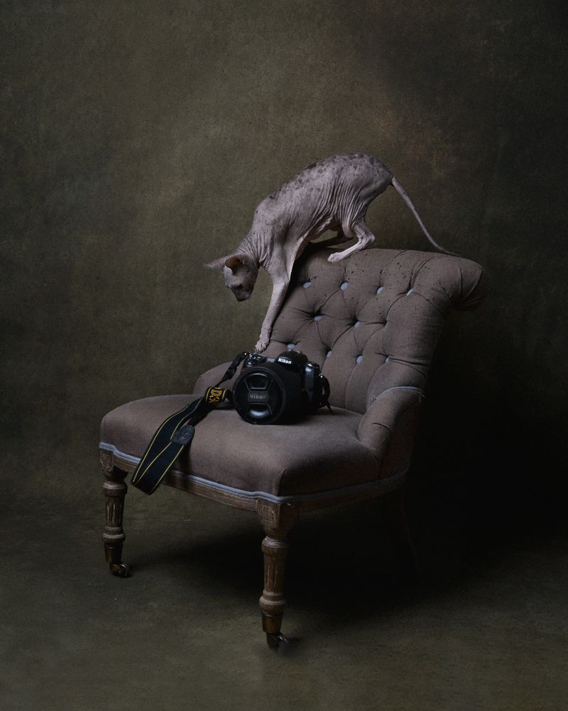 Фотография автора Ольга Афанасенко