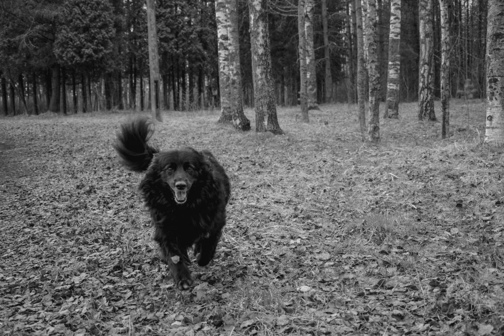 Фотография автора Альбина Хвастунова