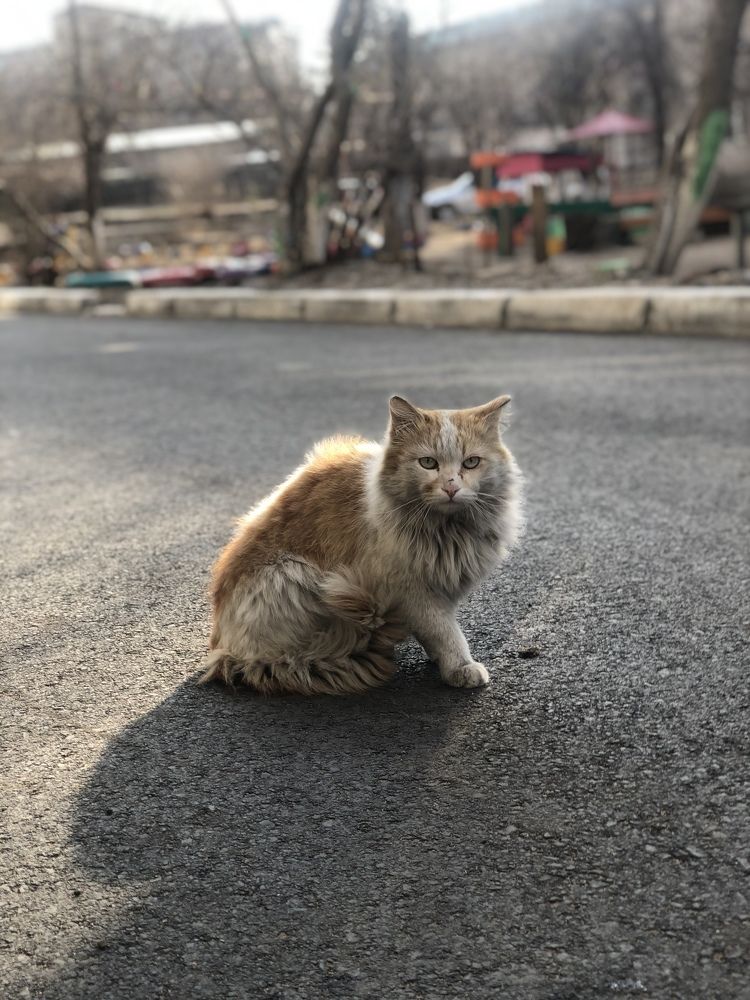 Photograph by Ирина Маркина