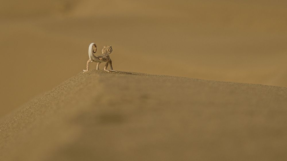 Photograph by seyed mostafa yousefi