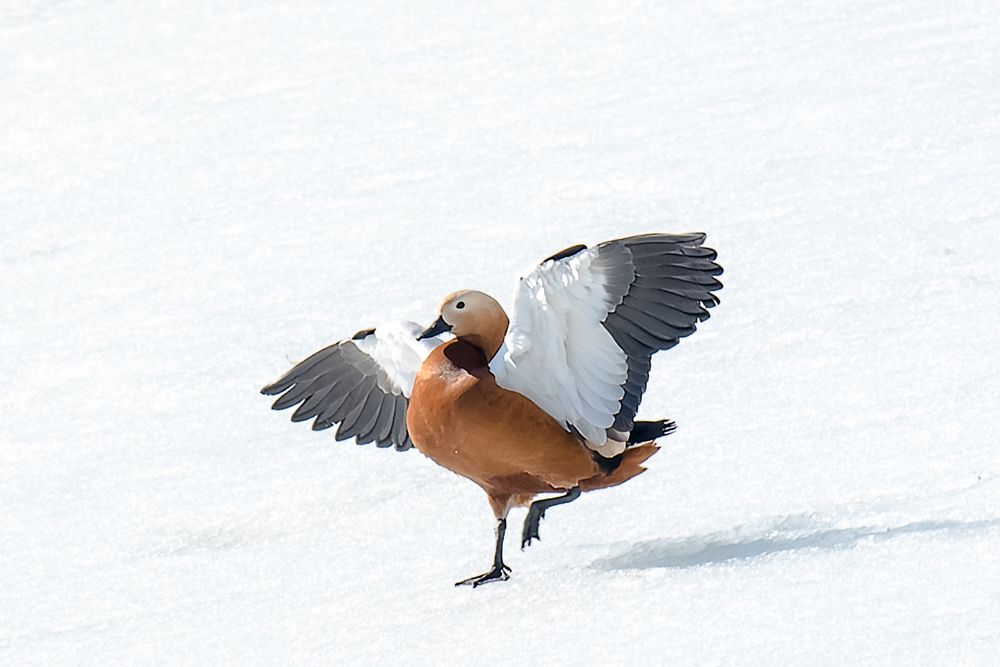 Photograph by Анна