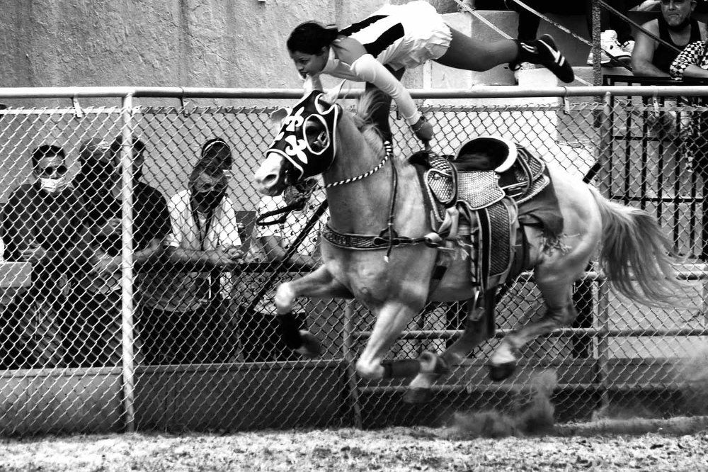 Photograph by Luisa Martina Hernández