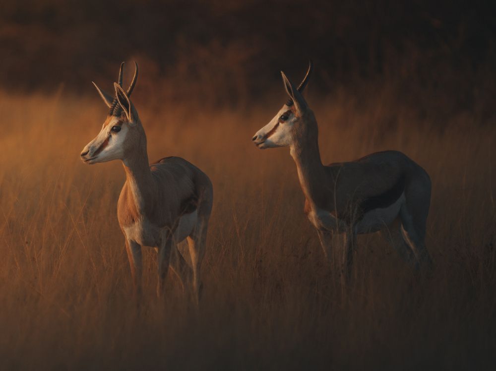 Photograph by Chris Stavrakas