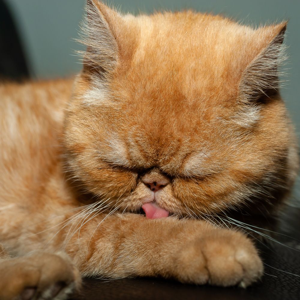 Photograph by Armando López-Guerrero