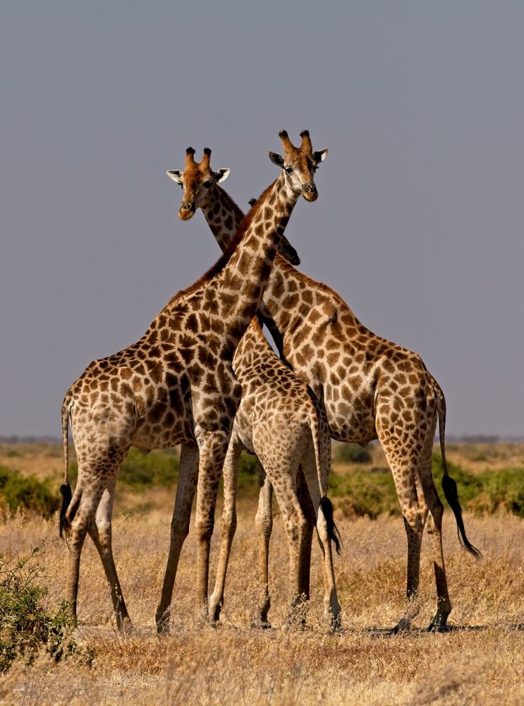 Photograph by Игорь Щербаков