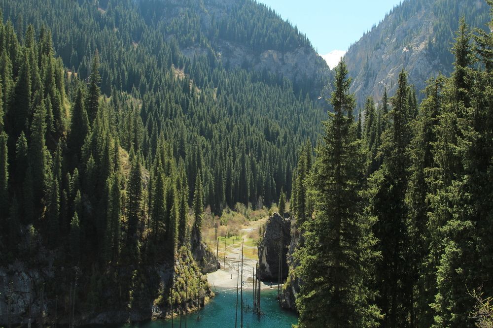 Фотография автора Аяужан Утеулинова