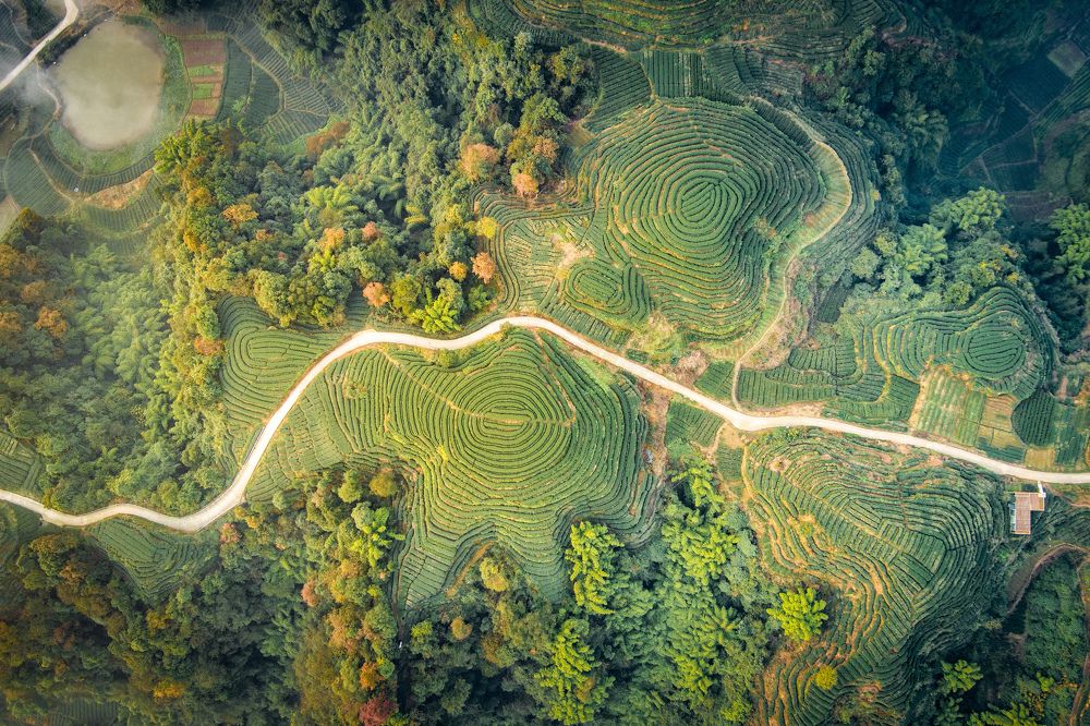 Fingerprints of the earth