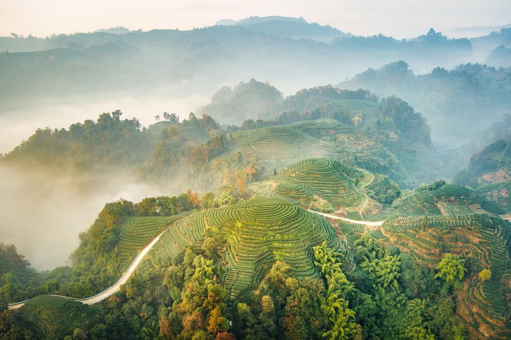 Fingerprints of the earth