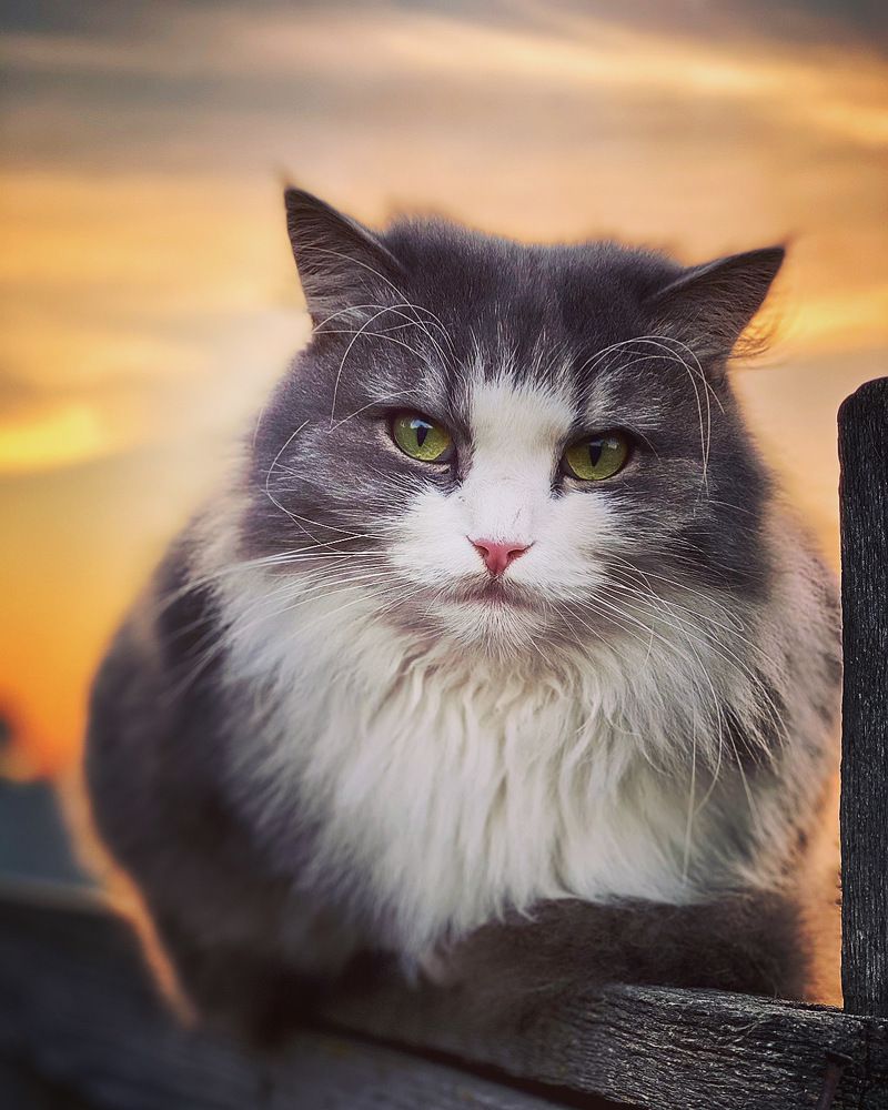 Photograph by Елена К