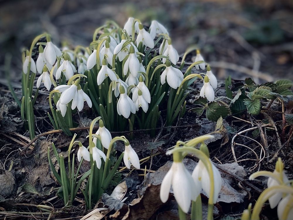 Photograph by Ольга Веретенникова