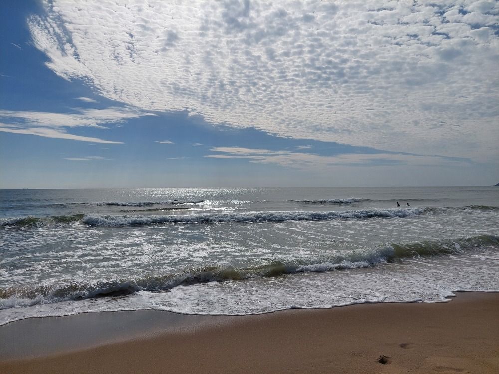 Photo #8759354
