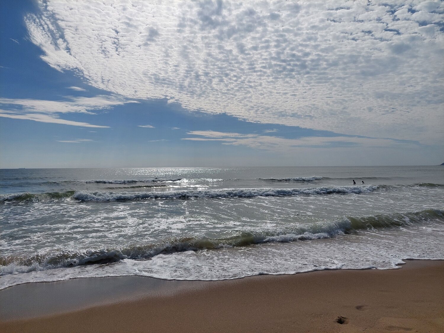 Photo #8759354