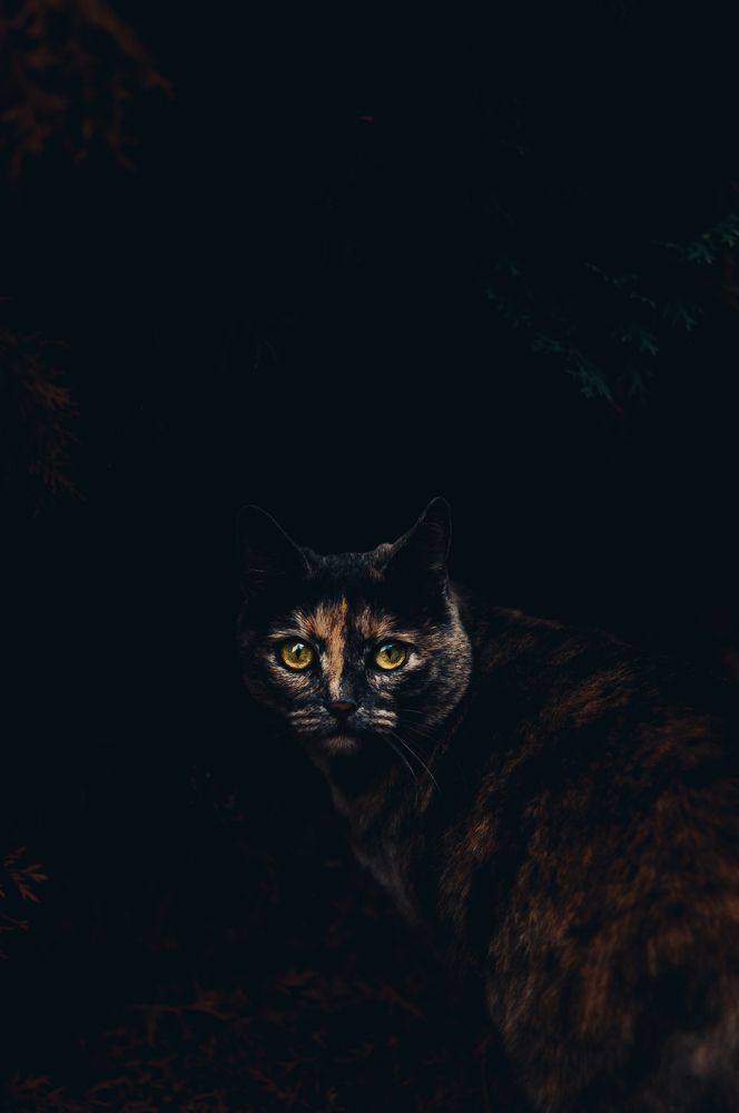 Photograph by Ольга Глущенко