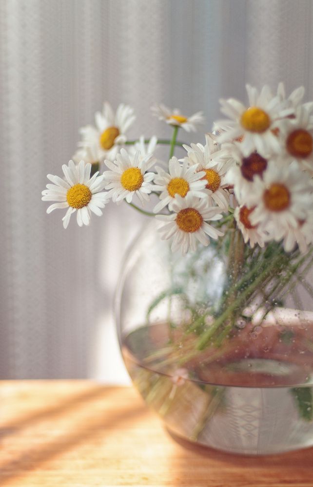 Photograph by Евгения Гловацкая