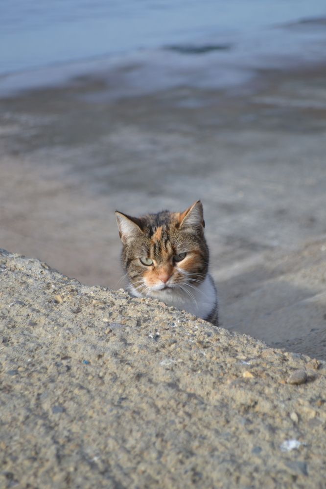 Photograph by Маргарита