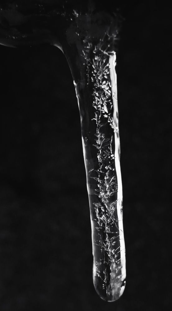 Photo #8759375