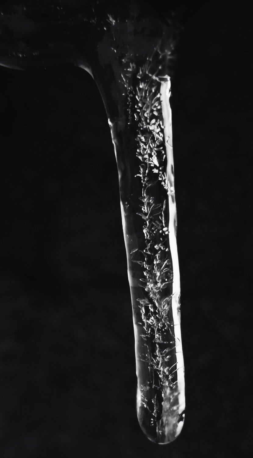 Photo #8759375