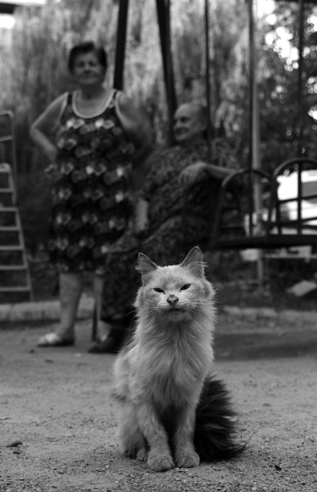 Photograph by Александр Шаварёв