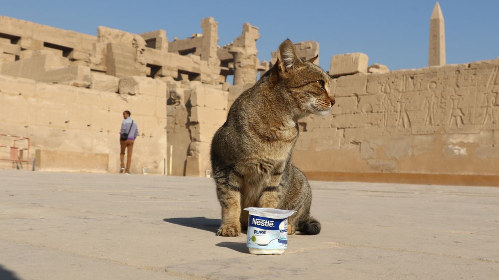 Photograph by Александр Шаварёв