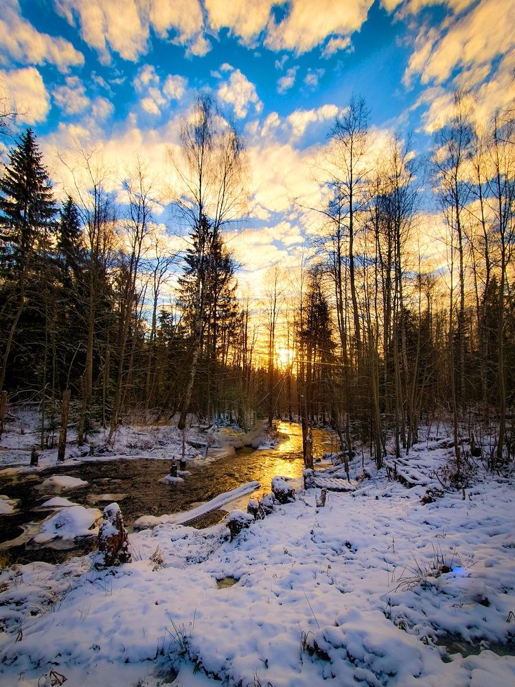 Лесная речка.