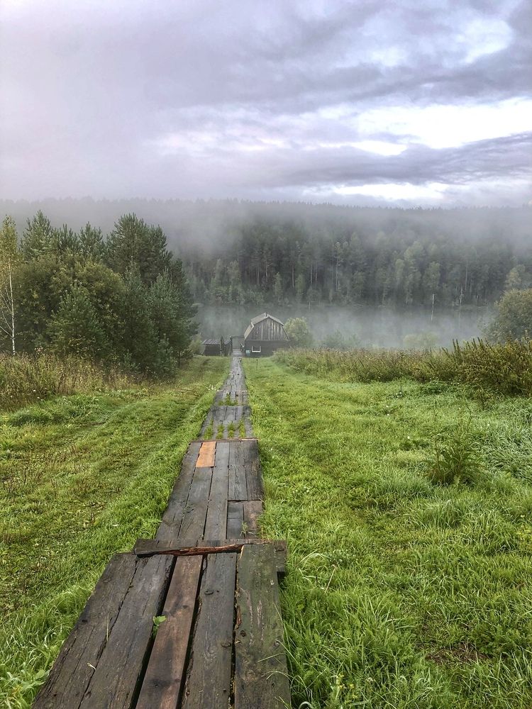 Раннее утро на заимке