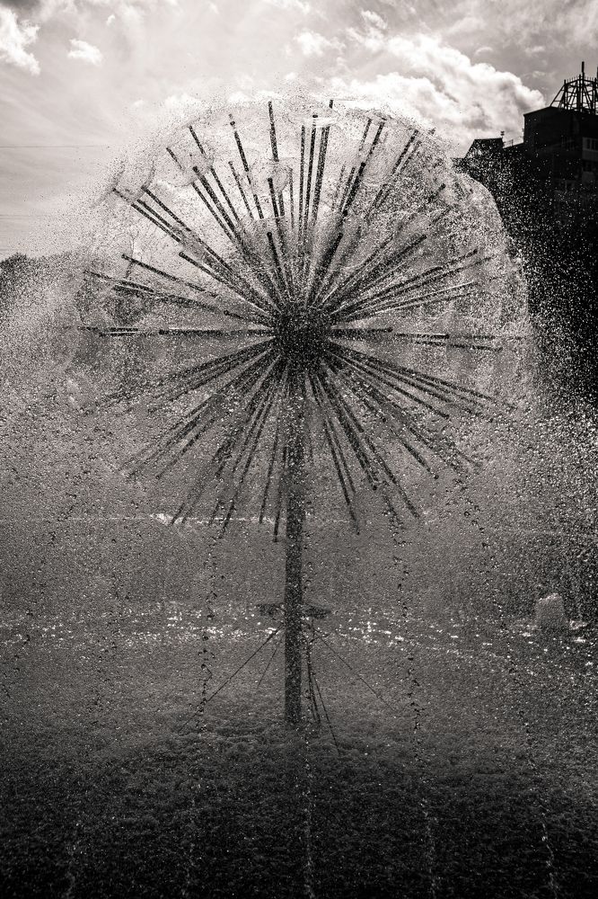 Photograph by Саша Литвин