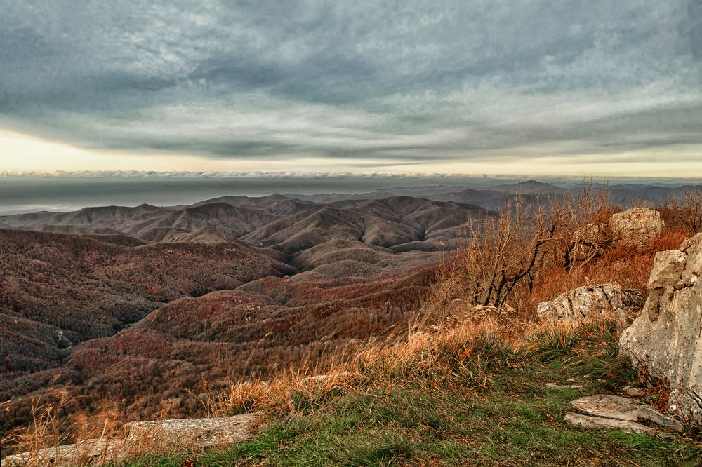 Photograph by Виталий Шкадинов