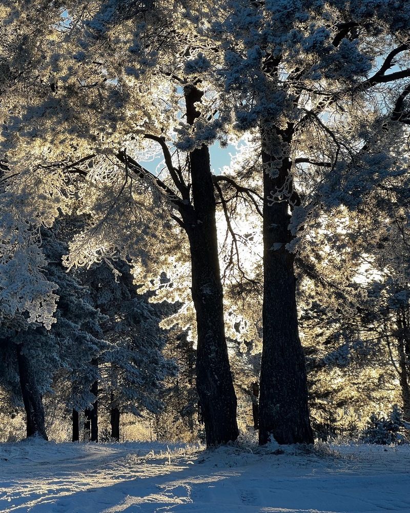 Photograph by Мария