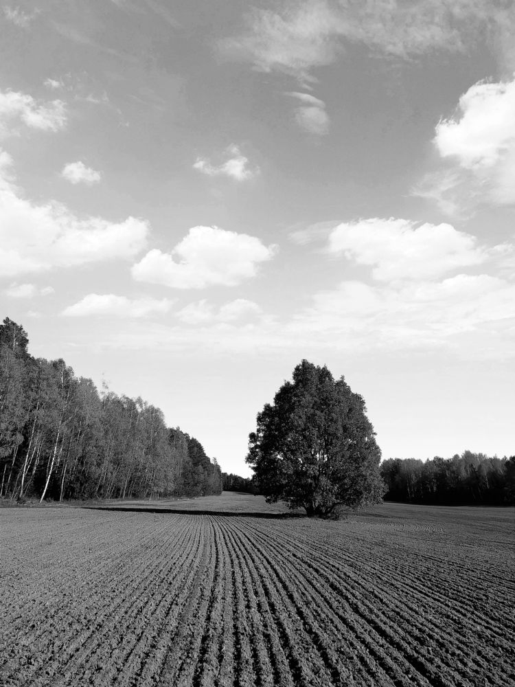 Photograph by Tatsiana Khinevich