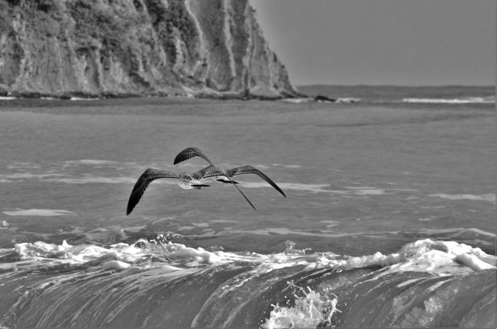 Photograph by Наталья Иванова