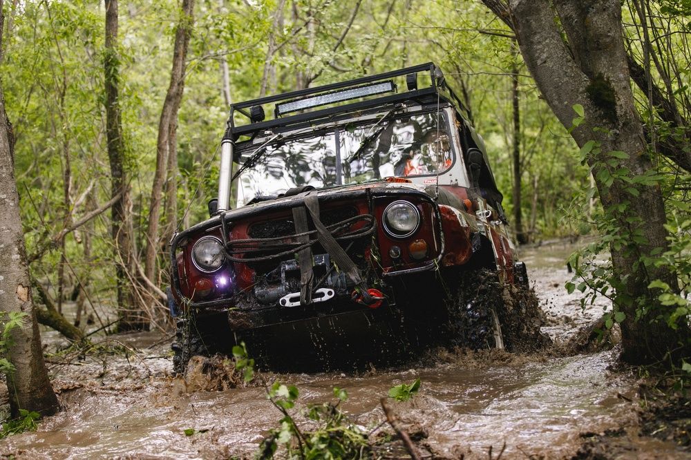 Фотография автора Тема Цезарь