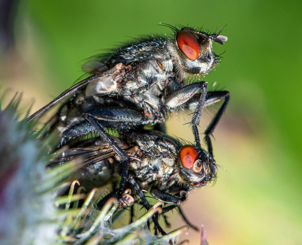 Photograph by  Mykhailo