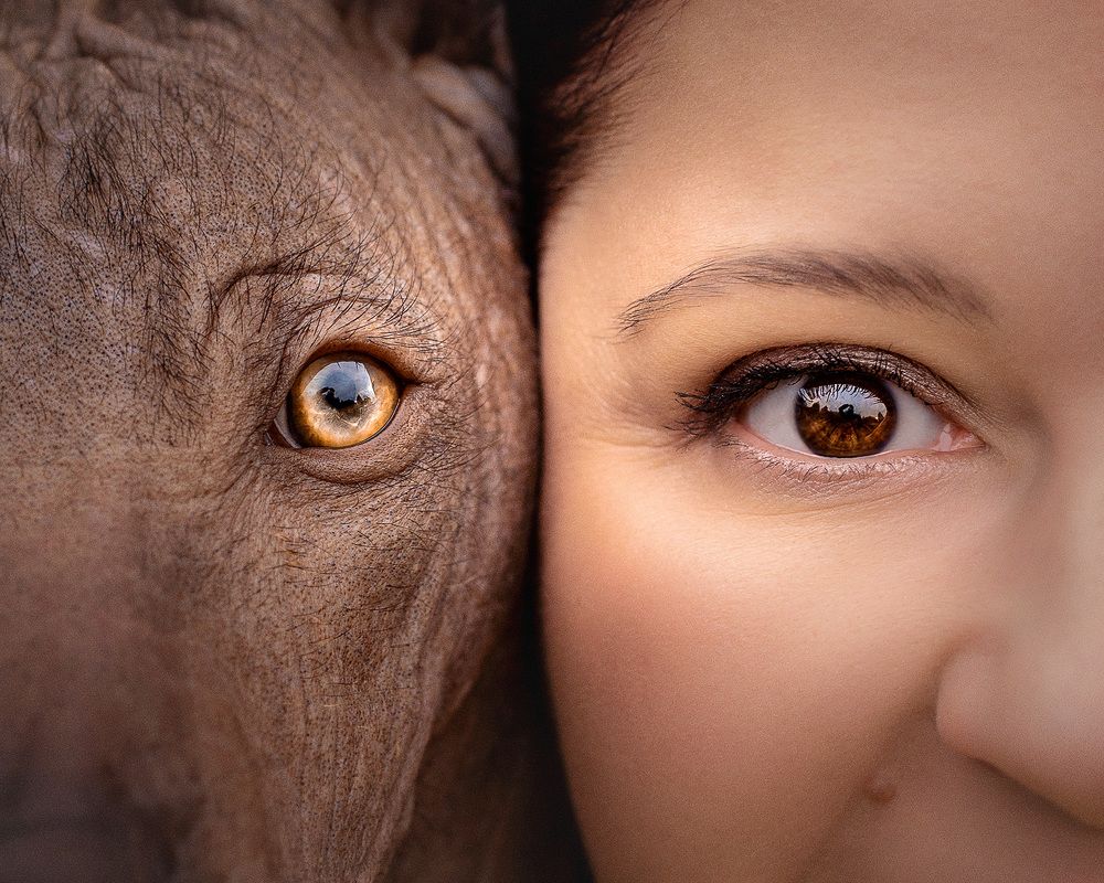 Фотография автора Оксана Серова