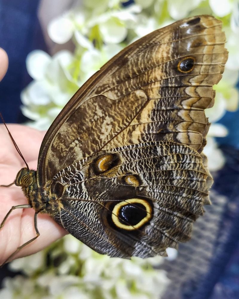 Photograph by Надежда