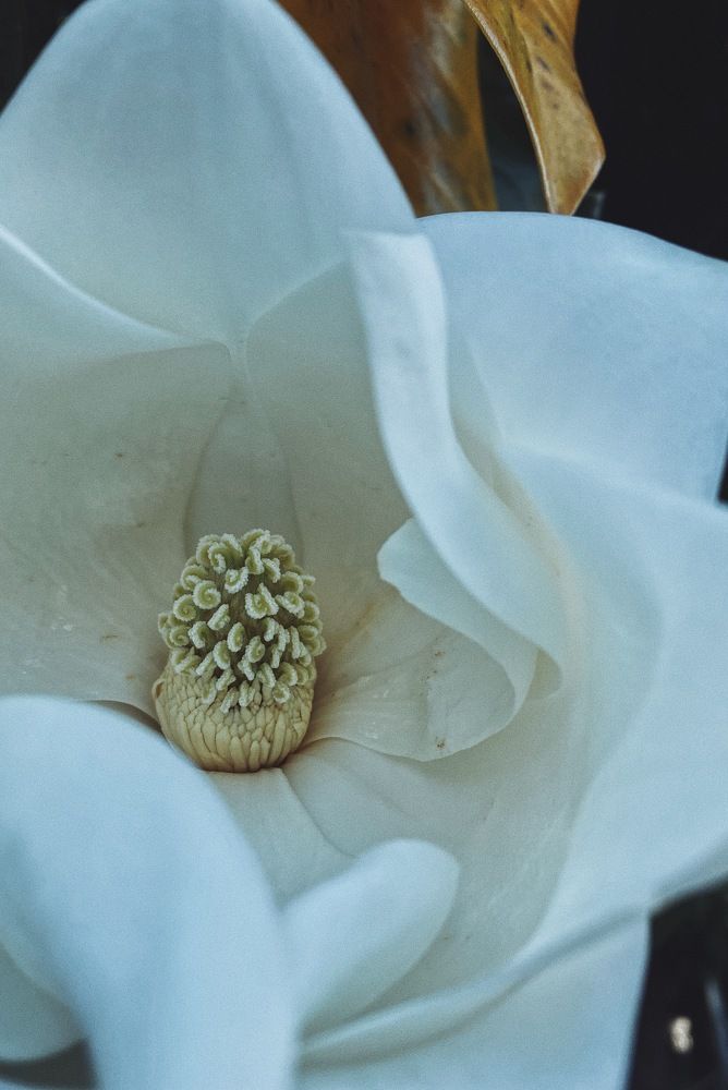 Photograph by Дарья Зайкина