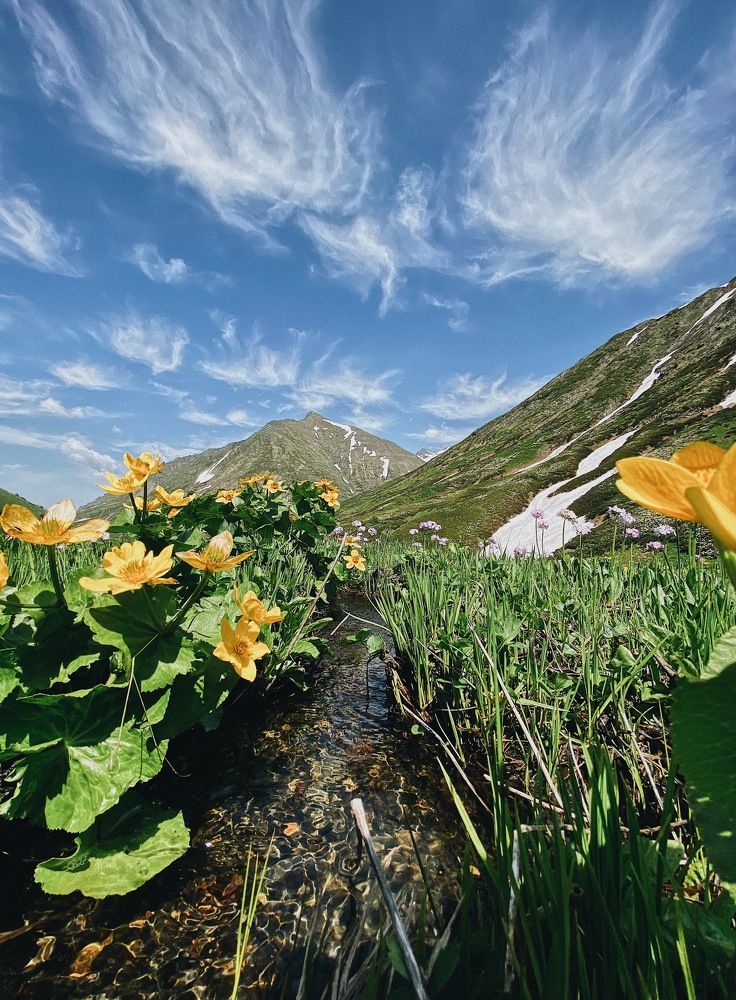 Photograph by Дарья Зайкина