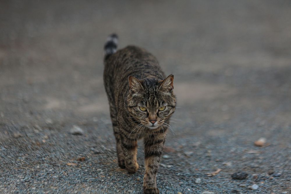 Photograph by Родион Шелупайко