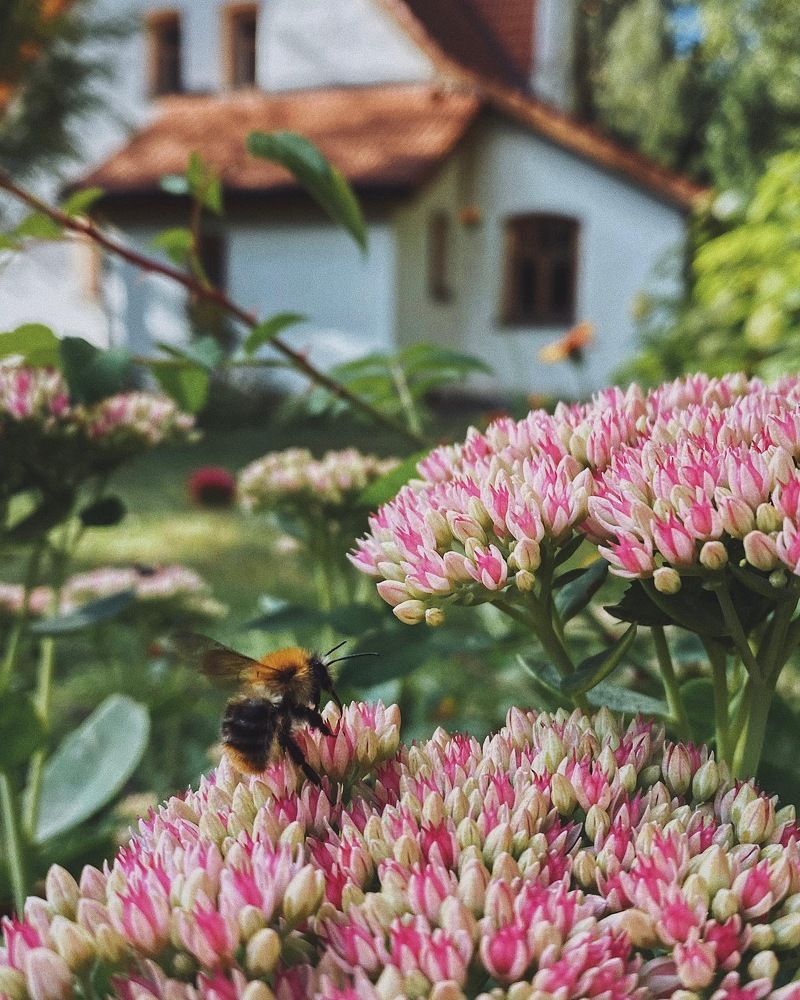 Photograph by Дарья Зайкина