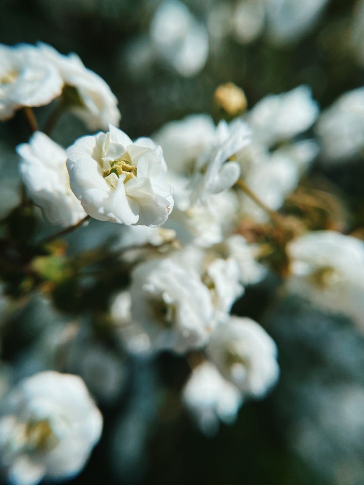 Photograph by Дарья Зайкина