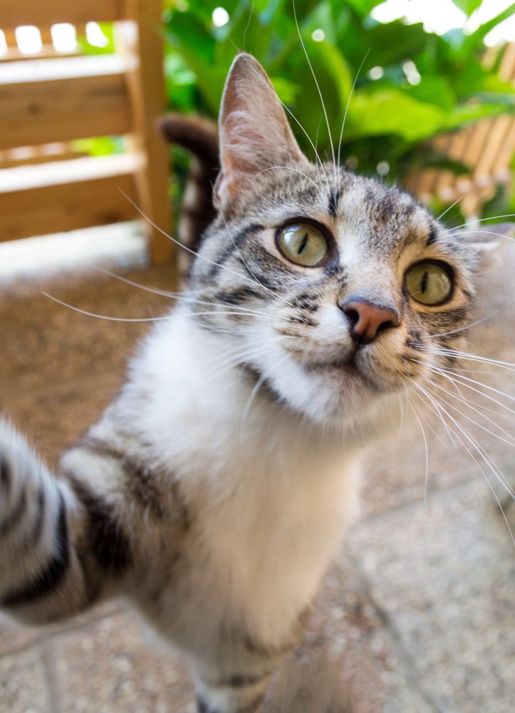 Photograph by Fahrudin Seferagić