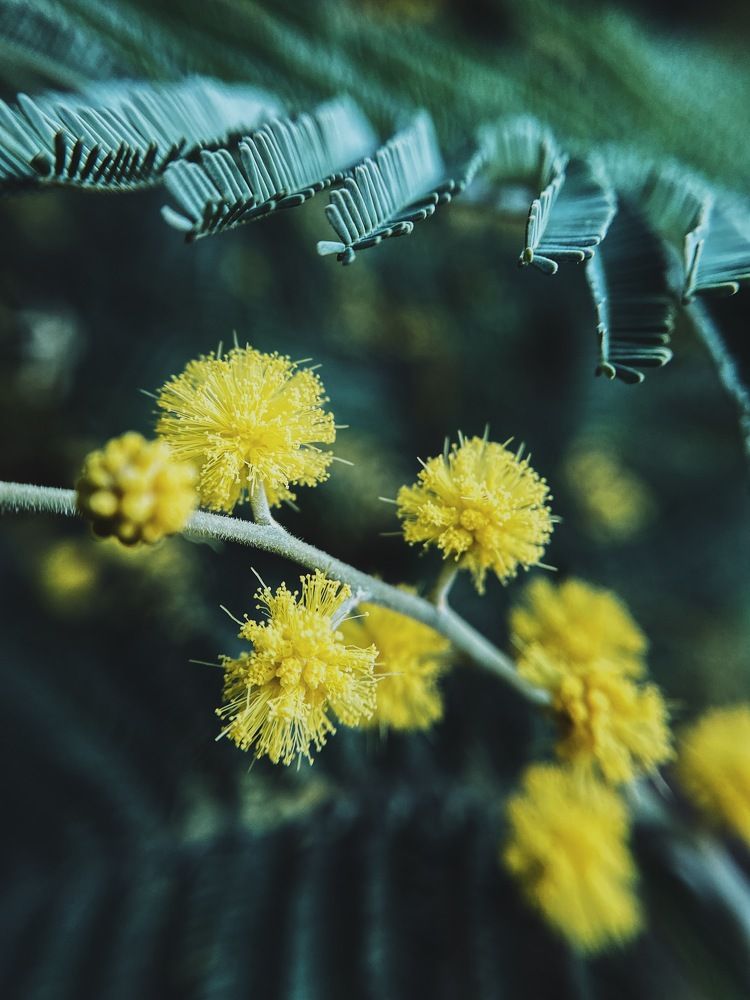 Photograph by Дарья Зайкина