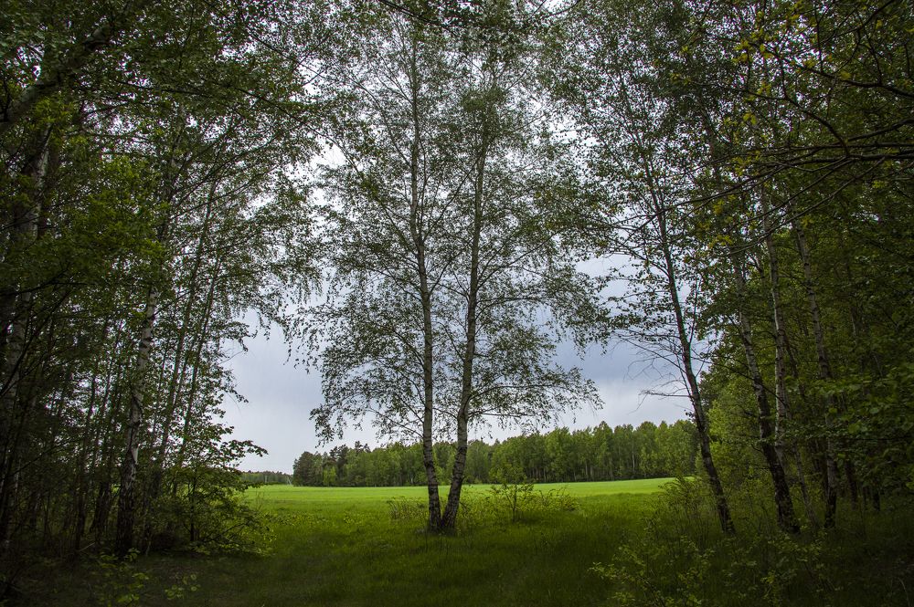 Майские зарисовки - 2