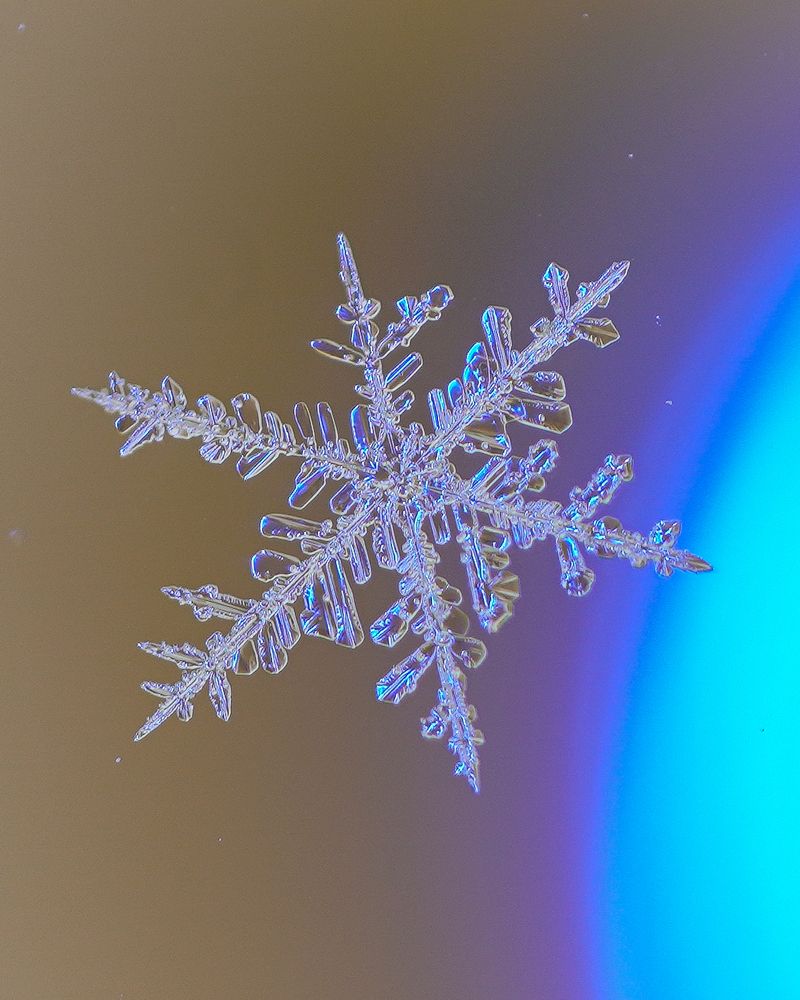 Photograph by Высотских Владимир