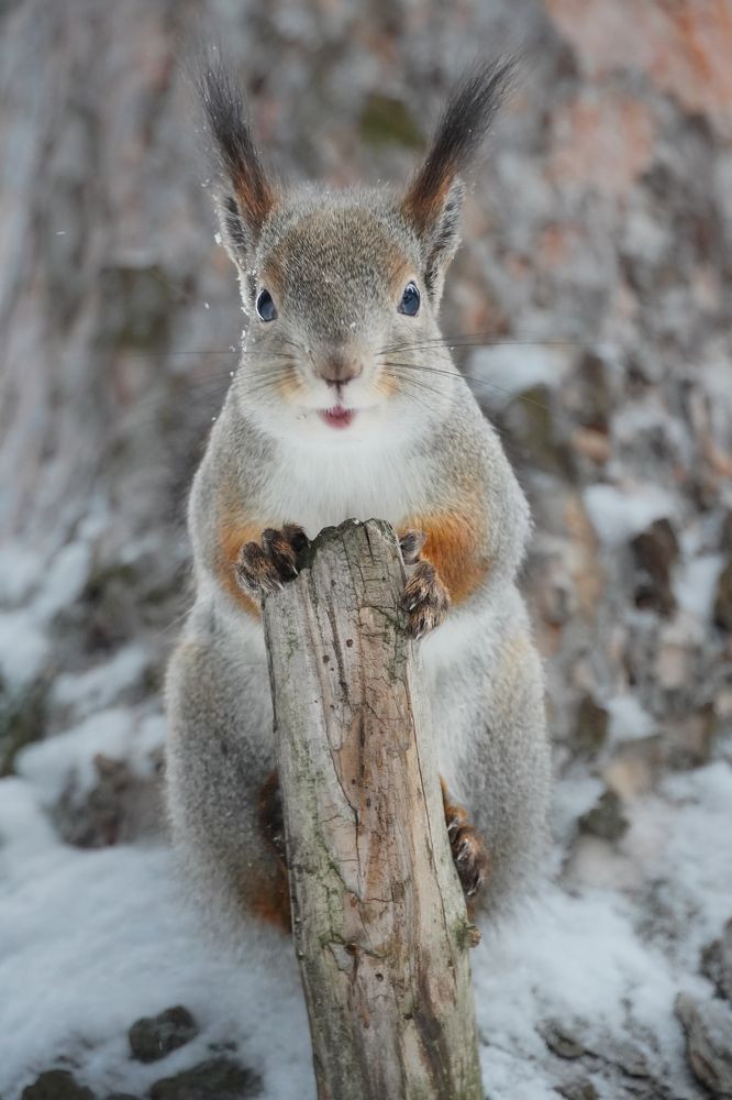 Photograph by Высотских Владимир