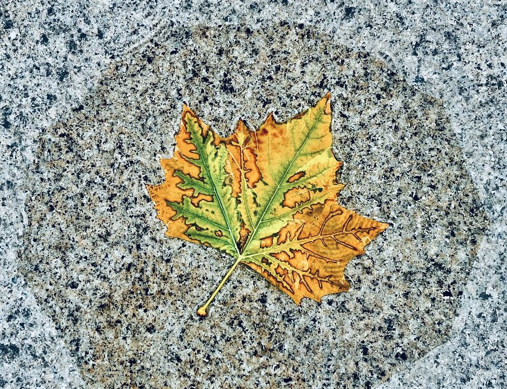 Photograph by Wang Li